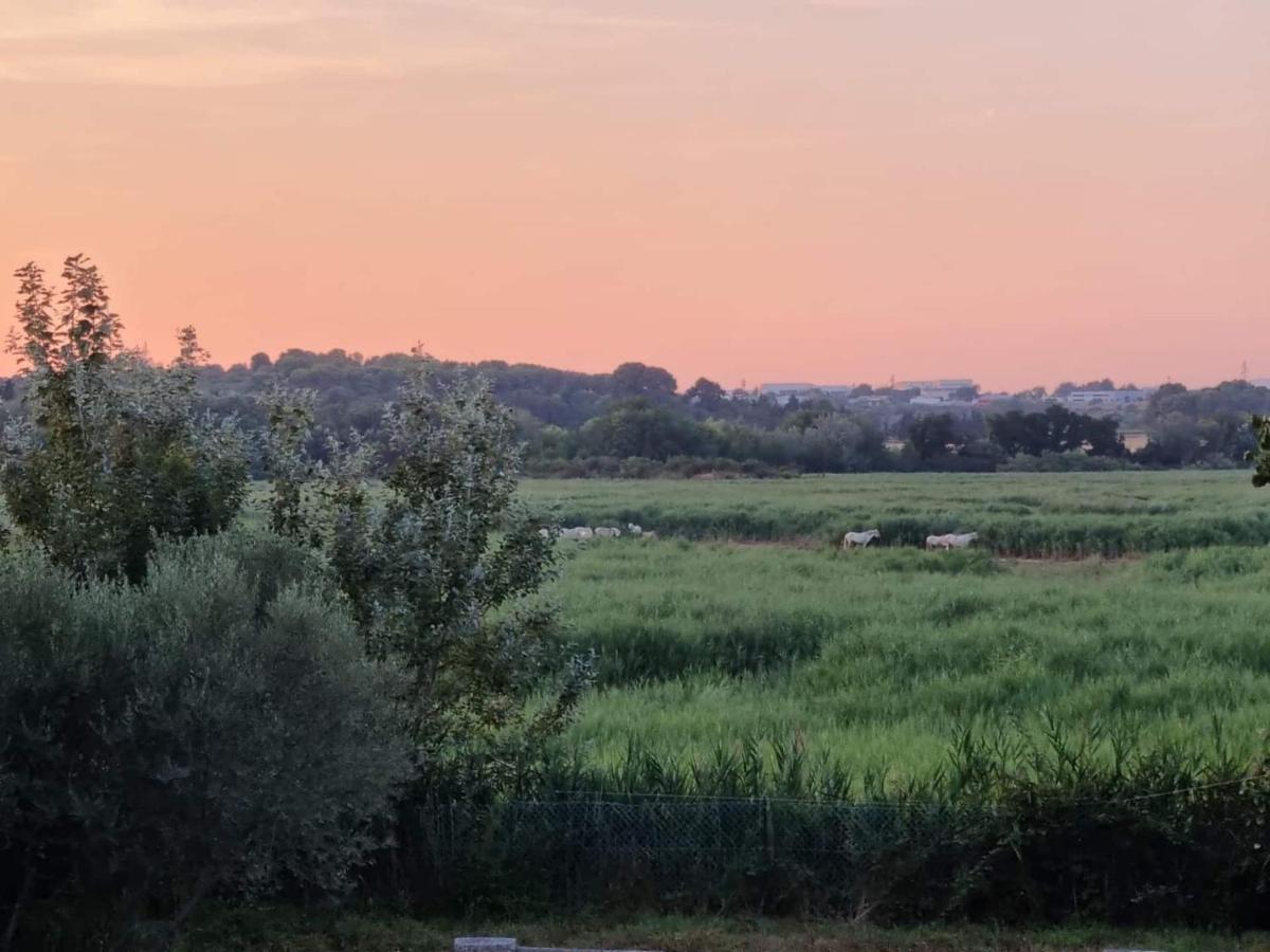 Gites De L'Estagnol Villeneuve-lès-Maguelonne Exteriér fotografie