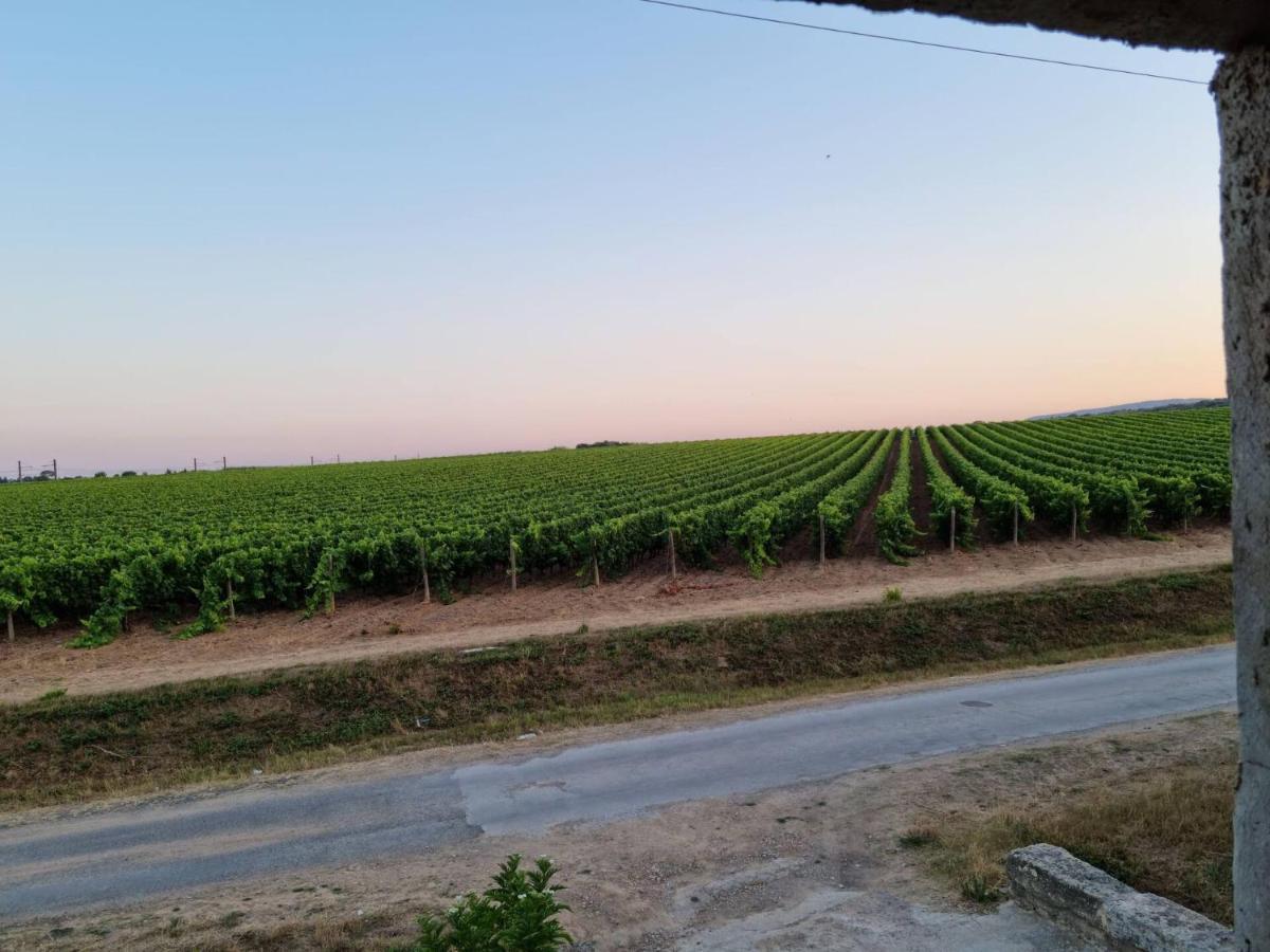Gites De L'Estagnol Villeneuve-lès-Maguelonne Exteriér fotografie